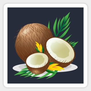 Coconut Illustration Hand Drawn Sticker